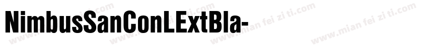 NimbusSanConLExtBla字体转换