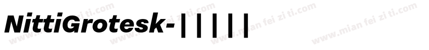 NittiGrotesk字体转换