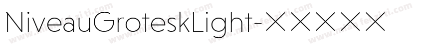 NiveauGroteskLight字体转换