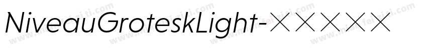 NiveauGroteskLight字体转换