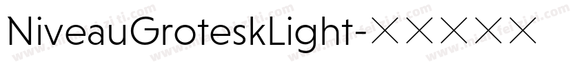 NiveauGroteskLight字体转换