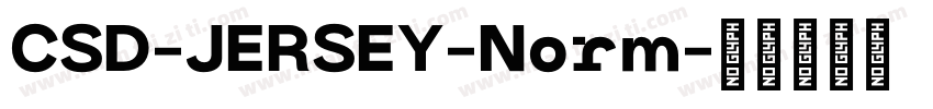 CSD-JERSEY-Norm字体转换