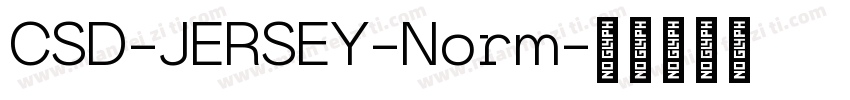 CSD-JERSEY-Norm字体转换