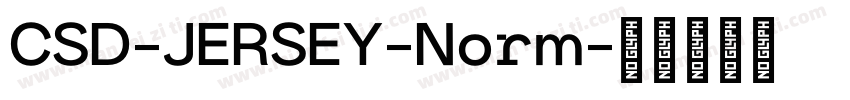 CSD-JERSEY-Norm字体转换