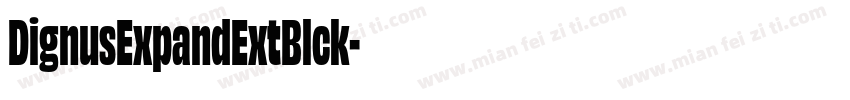 DignusExpandExtBlck字体转换