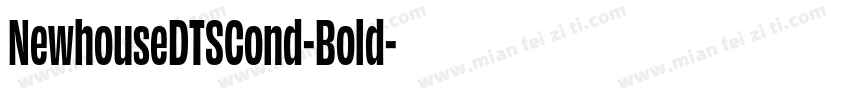 NewhouseDTSCond-Bold字体转换