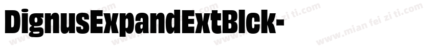 DignusExpandExtBlck字体转换