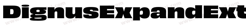 DignusExpandExtBlck字体转换