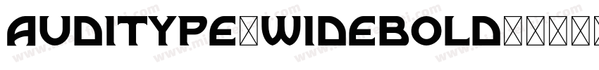 AUDITYPE-WIDEBOLD字体转换