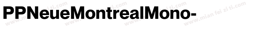PPNeueMontrealMono字体转换 PPNeueMontrealMono字体转换