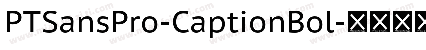 PTSansPro-CaptionBol字体转换