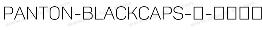 Panton-BlackCaps-黑字体转换