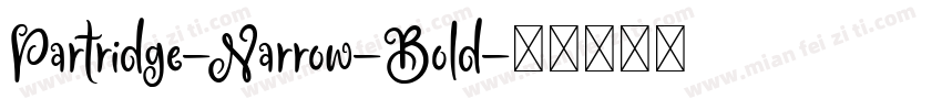 Partridge-Narrow-Bold字体转换