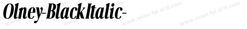 Olney-BlackItalic字体转换