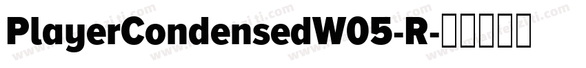 PlayerCondensedW05-R字体转换