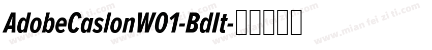 AdobeCaslonW01-BdIt字体转换