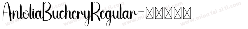AntoliaBucheryRegular字体转换