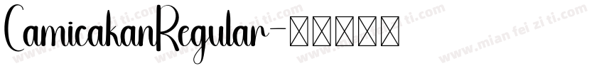 CamicakanRegular字体转换