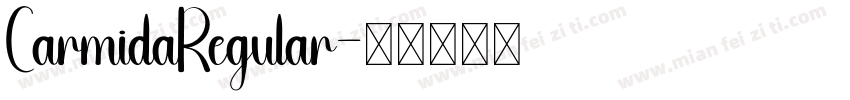 CarmidaRegular字体转换
