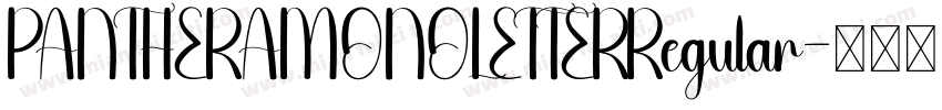 PANTHERAMONOLETTERRegular字体转换