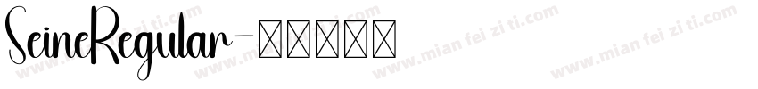 SeineRegular字体转换