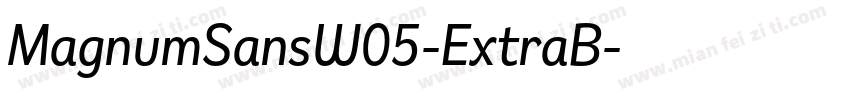 MagnumSansW05-ExtraB字体转换