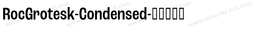 RocGrotesk-Condensed字体转换