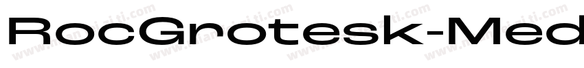 RocGrotesk-Medium字体转换