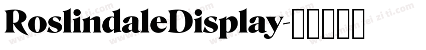 RoslindaleDisplay字体转换