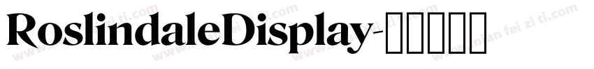 RoslindaleDisplay字体转换