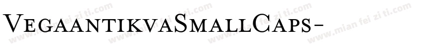 VegaantikvaSmallCaps字体转换