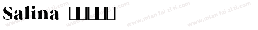 Salina字体转换