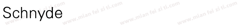 SchnyderXCondXLLight字体转换