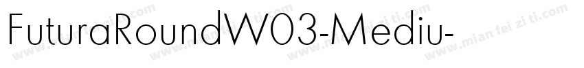 FuturaRoundW03-Mediu字体转换