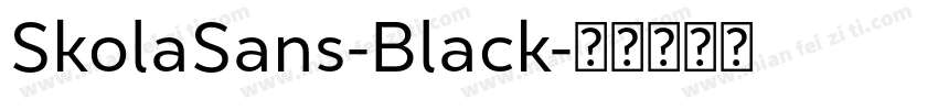 SkolaSans-Black字体转换
