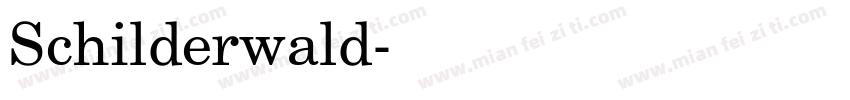 Schilderwald字体转换