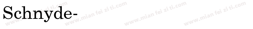 Schnyde字体转换