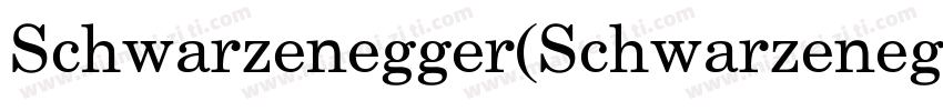 Schwarzenegger(Schwarzenegger)字体转换