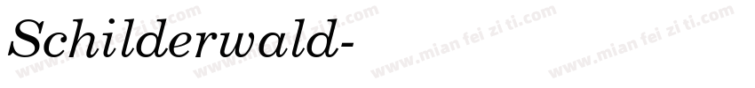 Schilderwald字体转换
