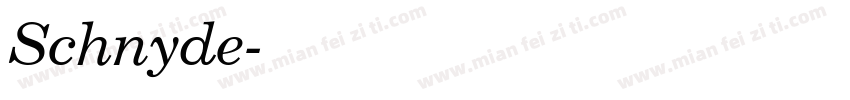 Schnyde字体转换