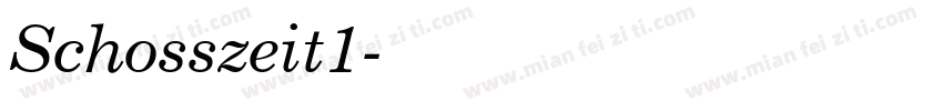Schosszeit1字体转换