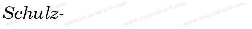Schulz字体转换