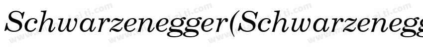 Schwarzenegger(Schwarzenegger)字体转换