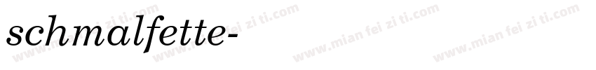 schmalfette字体转换