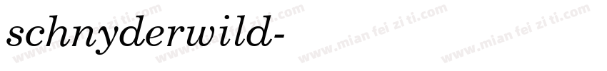 schnyderwild字体转换