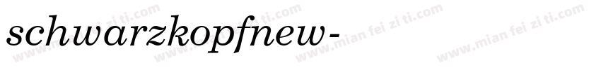 schwarzkopfnew字体转换