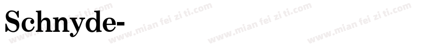 Schnyde字体转换