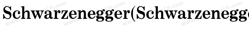 Schwarzenegger(Schwarzenegger)字体转换