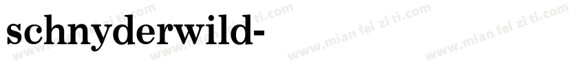 schnyderwild字体转换
