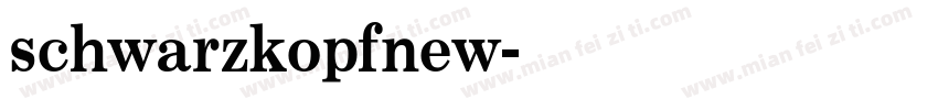 schwarzkopfnew字体转换